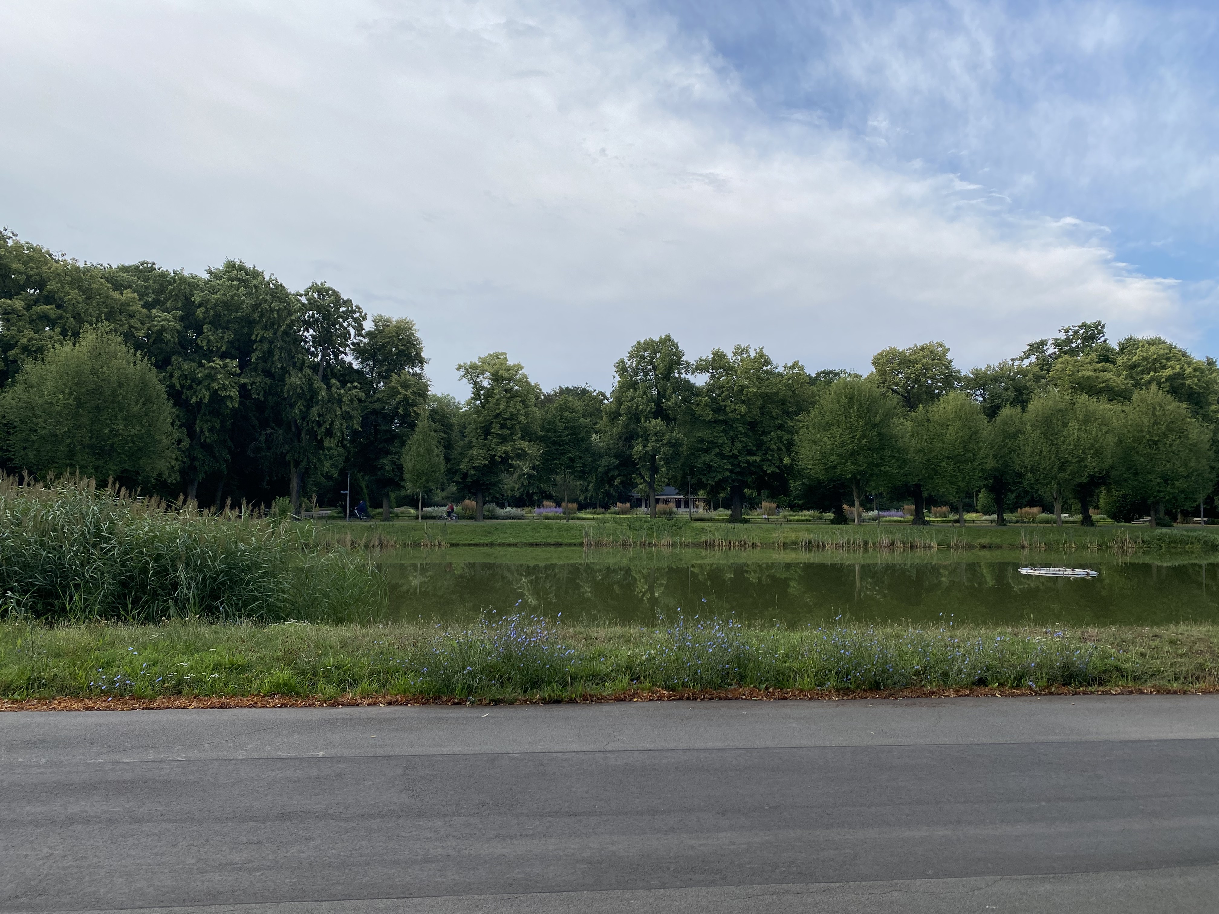 Das Elsterflutbecken durchzieht den Clara-Park Das Elsterflutbecken durchzieht den Clara-Park