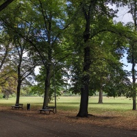 Impression aus dem heutigen Mariannenpark I