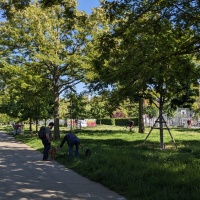 Impressions of the award-winning Lene-Voigt-Park, close to the education campus, No. 1